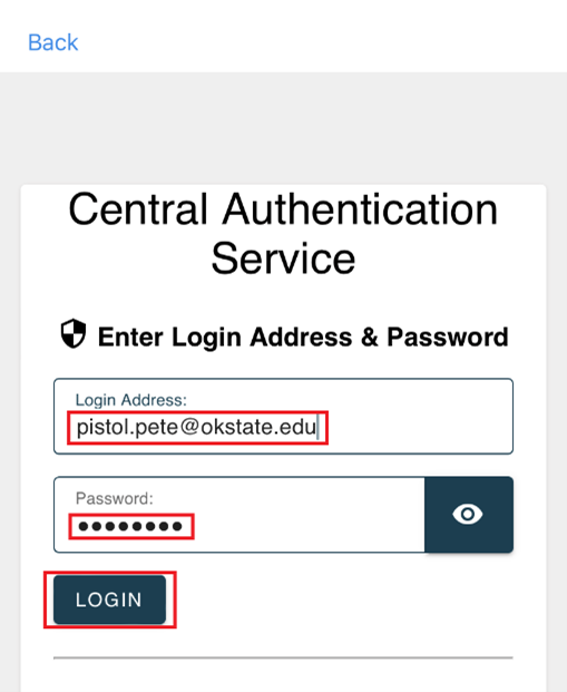 authentication page