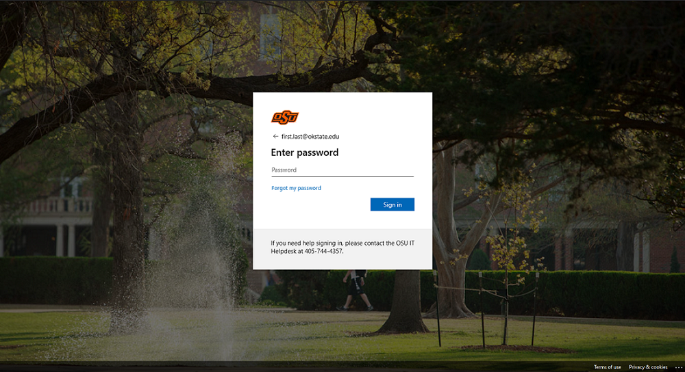 A picture showcasing the sign in screen, specifially the password part of the sign in process.