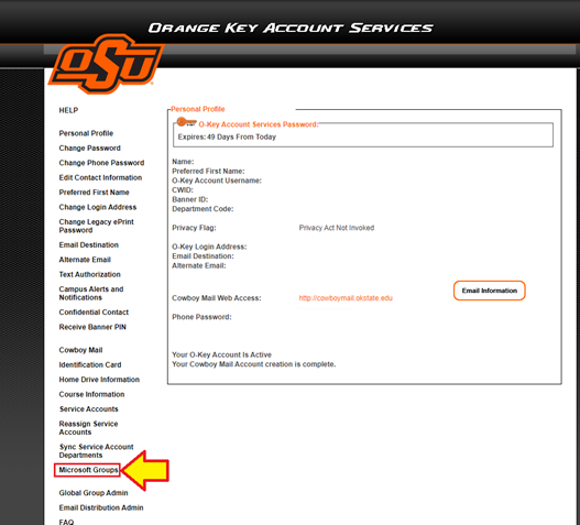Microsoft Groups on Okey
